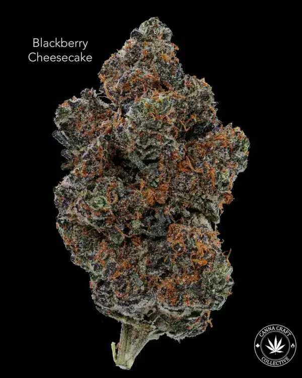 AAAA *ON SPECIAL* BLACKBERRY CHEESECAKE