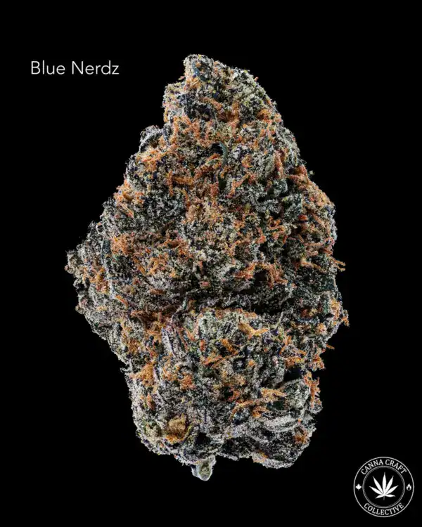 BLUE NERDZ