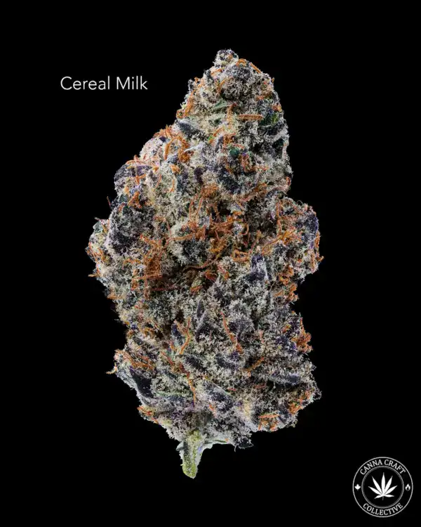 CEREAL MILK