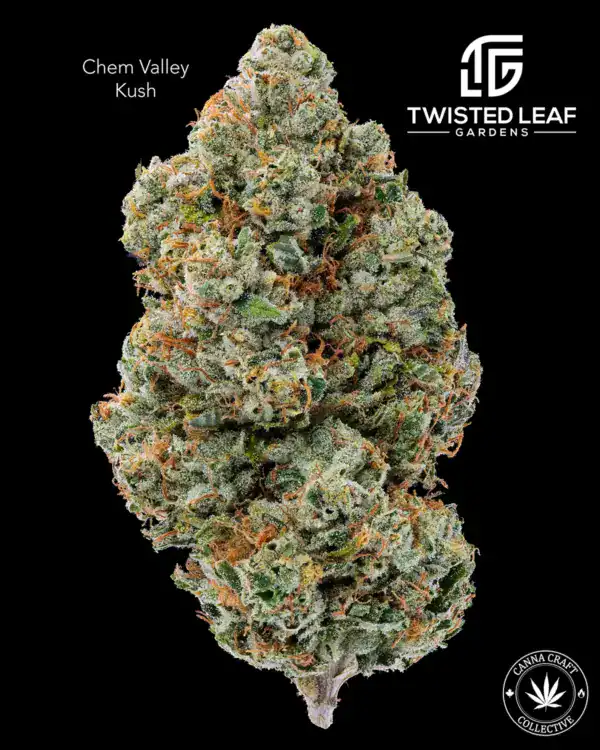 CHEM VALLEY KUSH