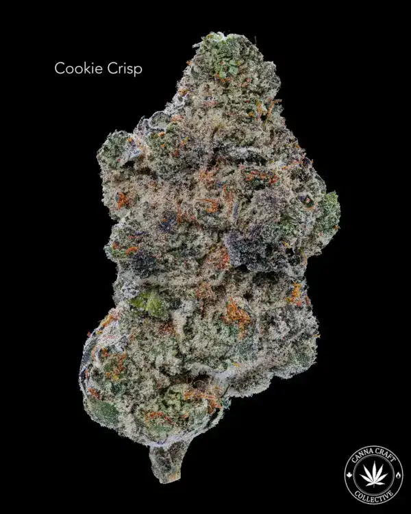 AAAA *ON SPECIAL* COOKIE CRISP