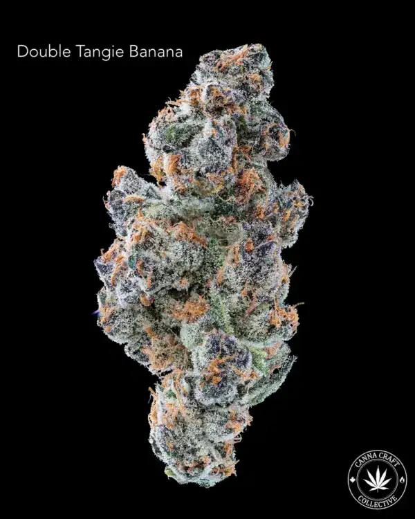 Double Tangie Banana DOUBLE TANGIE BANANA