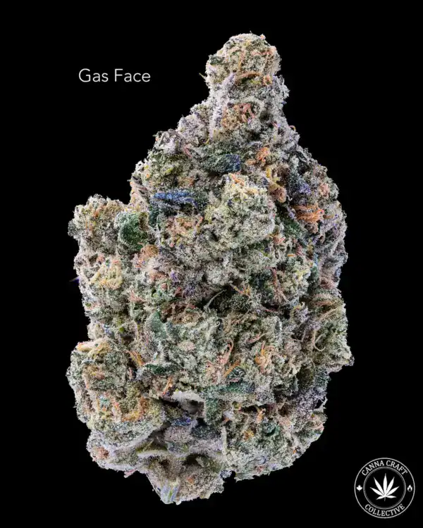 GAS FACE