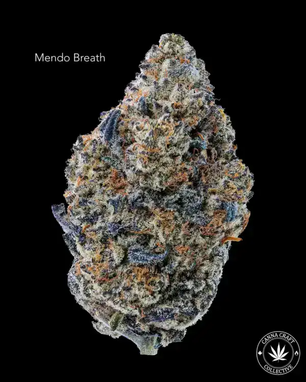 AAA+ - MENDO BREATH