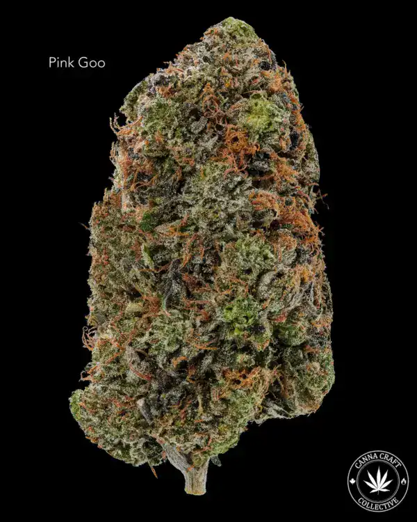 PINK GOO