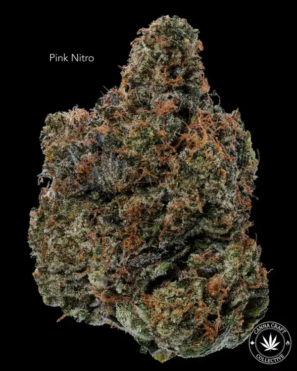 AAAA *ON SPECIAL* PINK NITRO