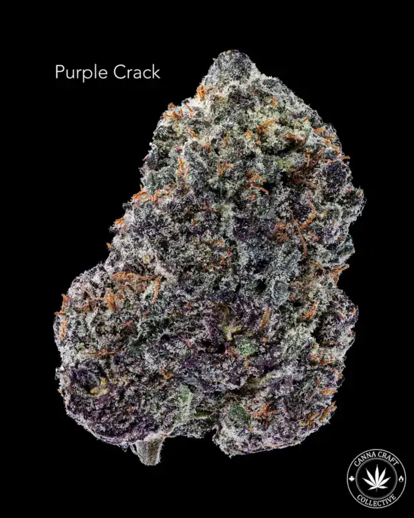 PURPLE CRACK