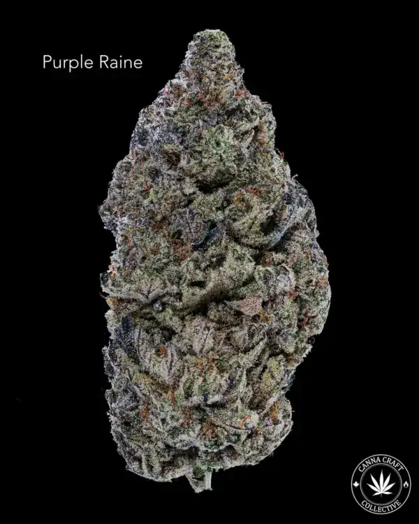 AAAA *ON SPECIAL* PURPLE RAINE