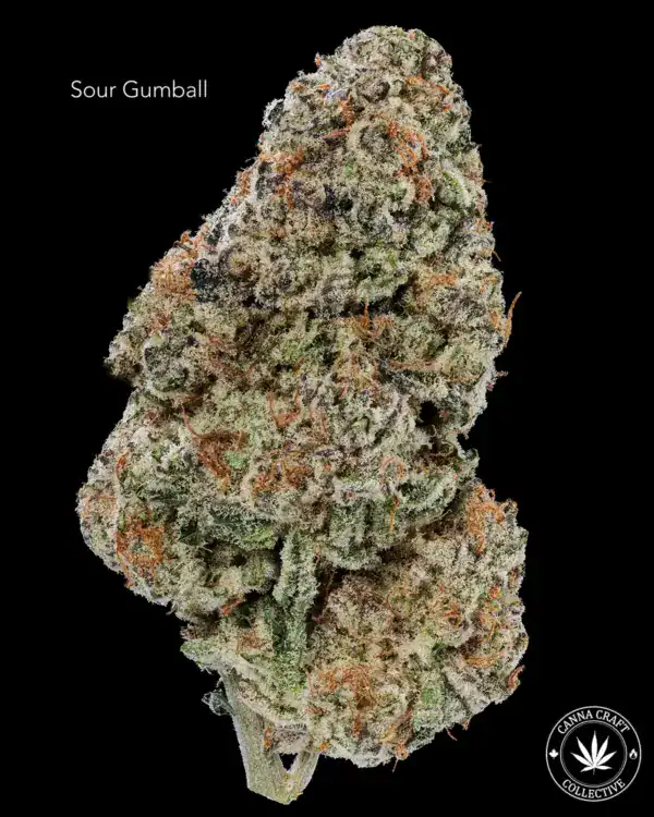 AAAA *ON SPECIAL* SOUR GUMBALL