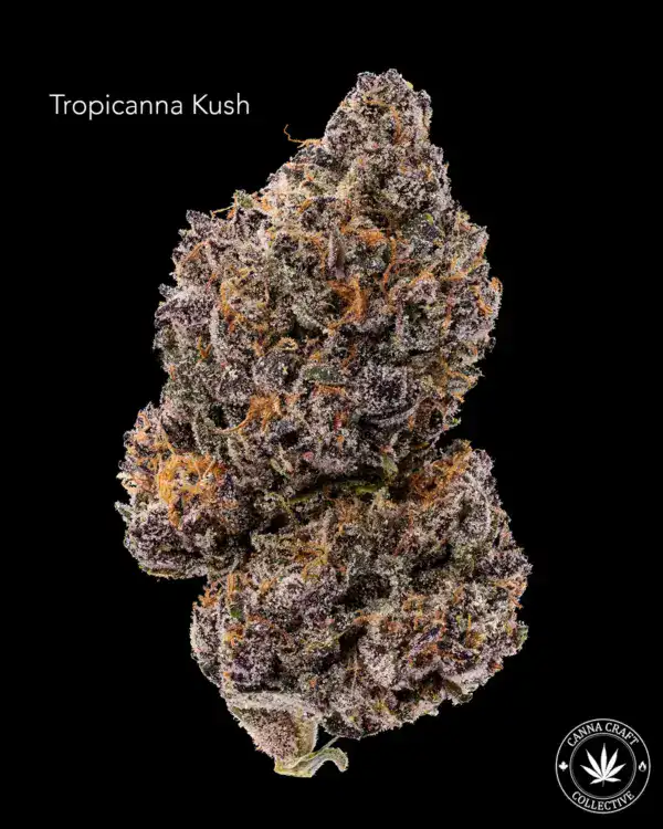 Tropicanna Kush cc TROPICANA KUSH