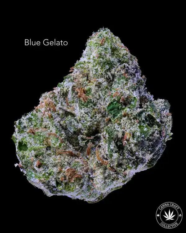 AAA+ - BLUE GELATO