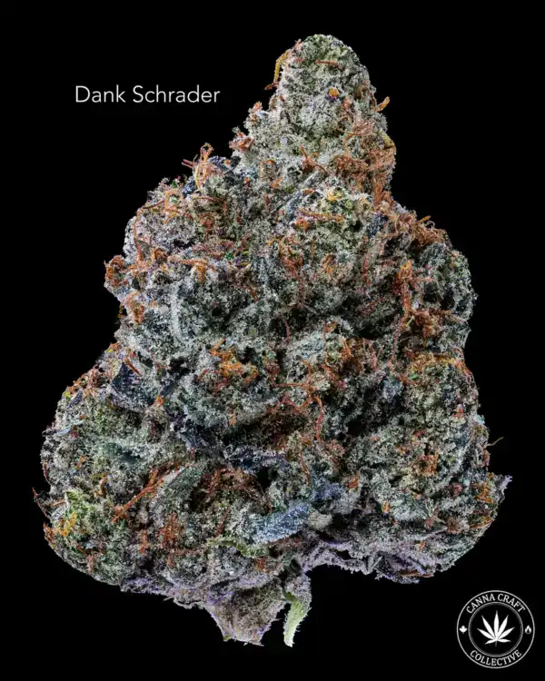 DANK SCHRADER