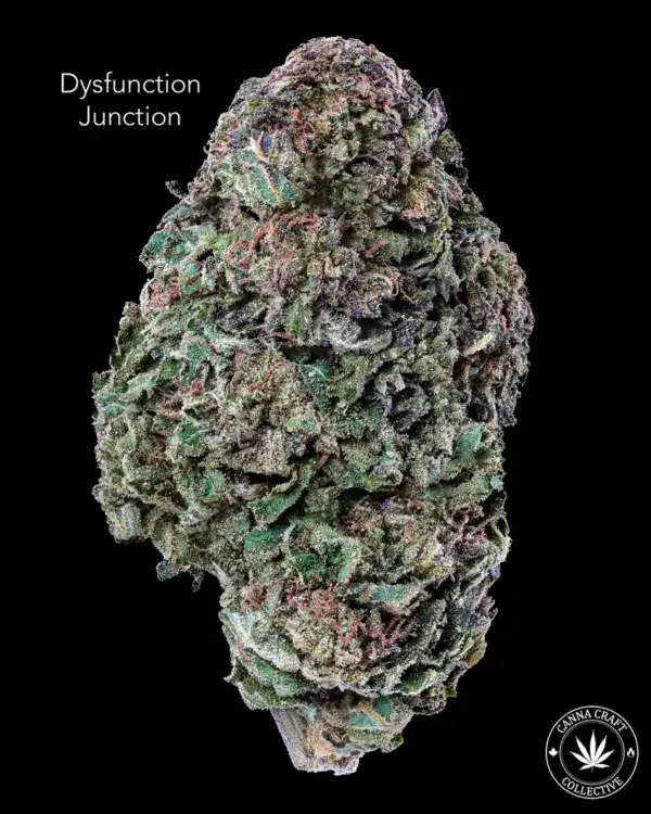 AA - DYSFUNCTION JUNCTION