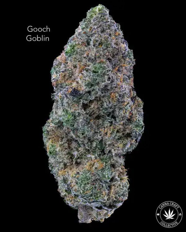 AAAA *ON SPECIAL* GOOCH GOBLIN