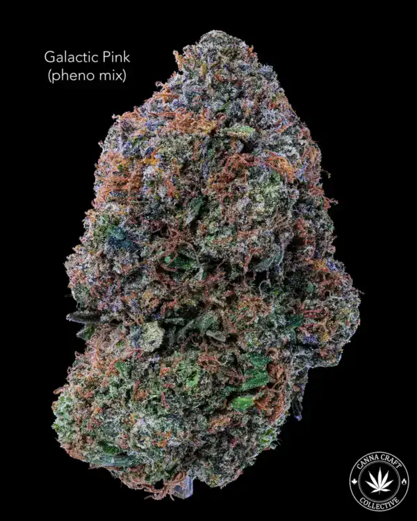 AAAA *ON SPECIAL* GALACTIC PINK (PHENO MIX)