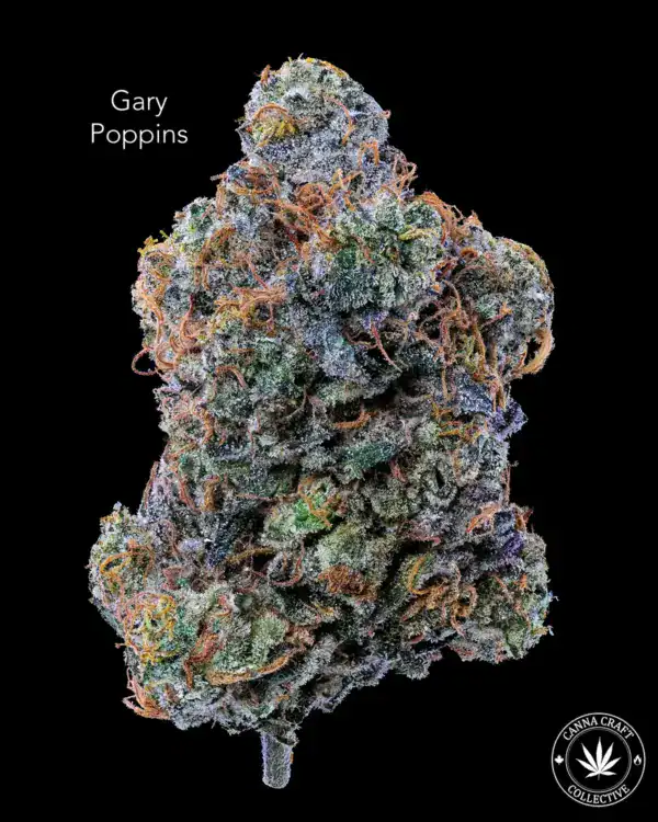 AAAA *ON SPECIAL* GARY POPPINS