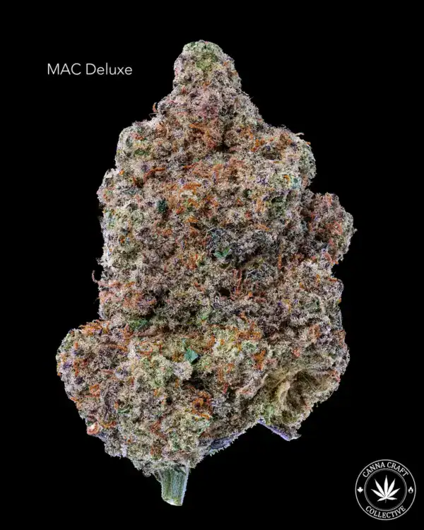 AAA+ - MAC DELUXE
