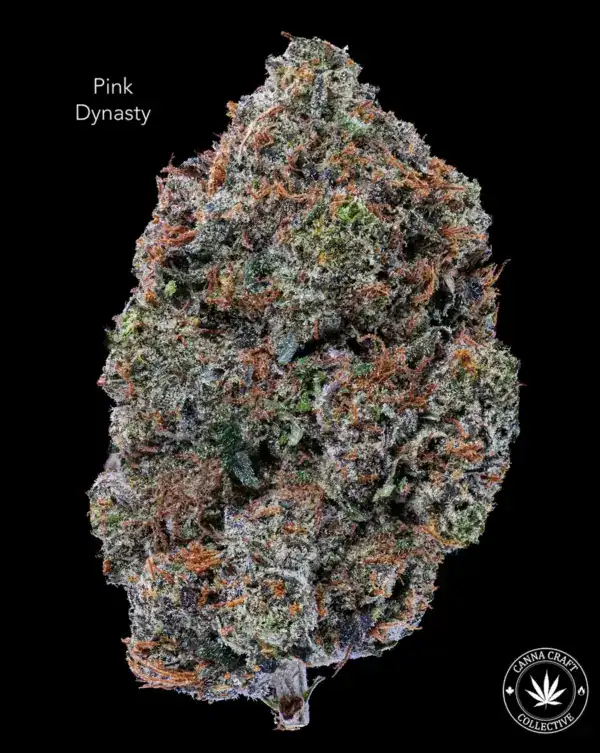 PINK DYNASTY