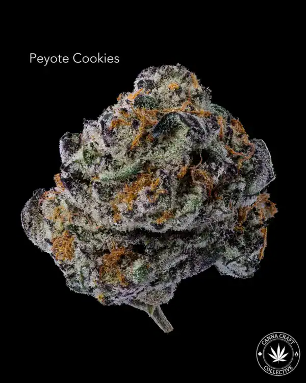 Peyote Cookies AAA+ - PEYOTE COOKIES