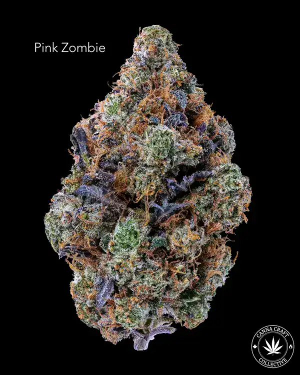 AAAA *ON SPECIAL* PINK ZOMBIE