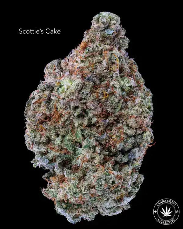 AAA++ - SCOTTIE'S CAKE