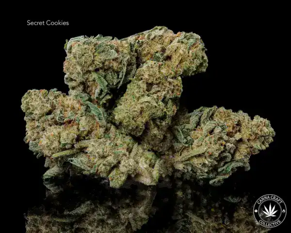 AA - SECRET COOKIES