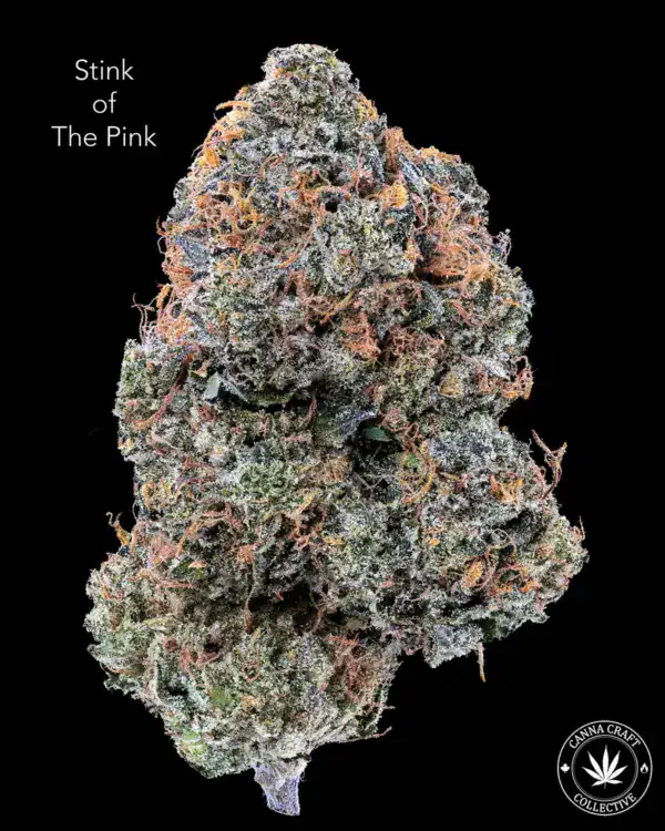 AAAA *ON SPECIAL* STINK OF THE PINK