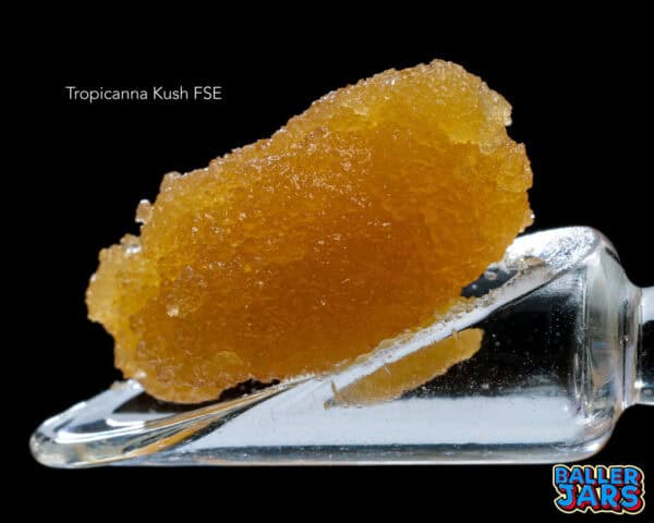 BALLER JAR FSE - TROPICANA KUSH (5 gram)