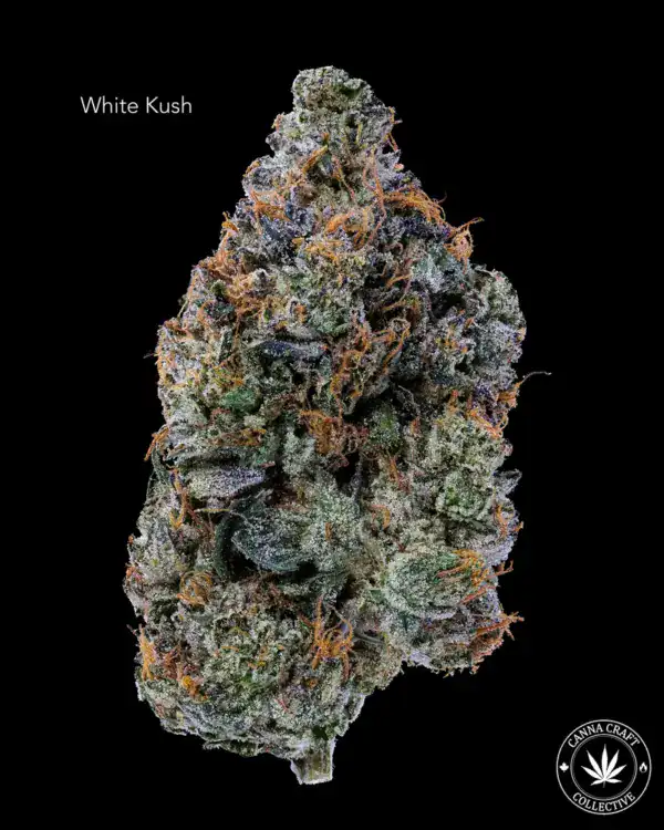 WHITE KUSH