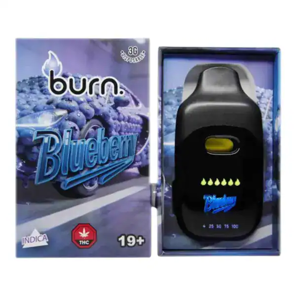 Photoroom_20260715_013436 BURN DISPOSABLE VAPE – BLUEBERRY (3 GRAM)